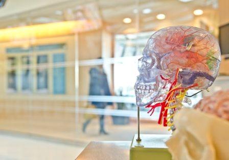 The best way to lessen Alzheimer's severity is to detect warning signs early on and work to retain cognitive function through a cognitive assessment, brain training, and lifestyle changes.