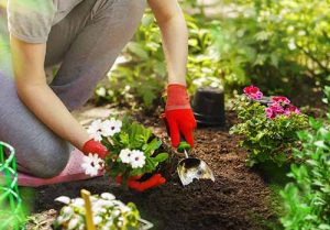 Gardening