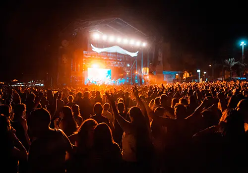 People gather at an outdoor concert at night.